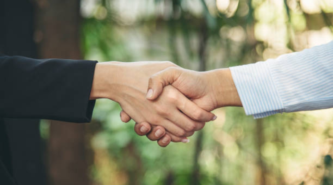 partnerlus